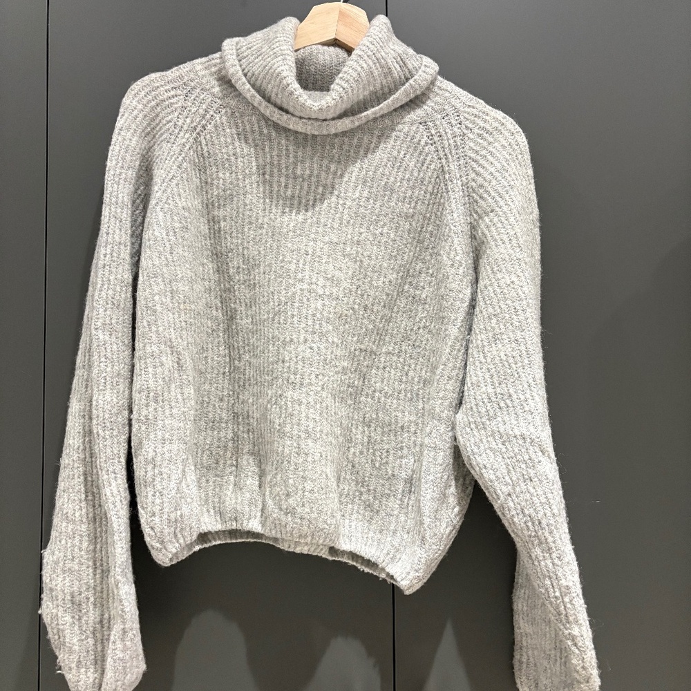 Subdued Raglan Wool Turtleneck